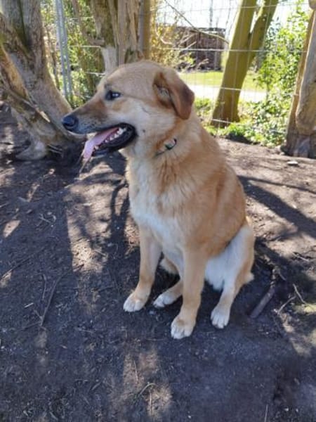 Sanfte Mika ❤ in 2624 Hage