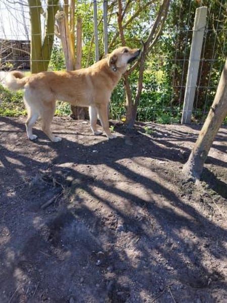 Sanfte Mika ❤ in 2624 Hage