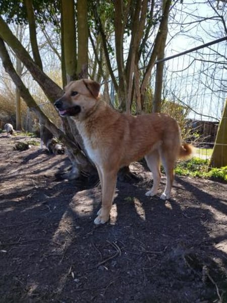 Sanfte Mika ❤ in 2624 Hage