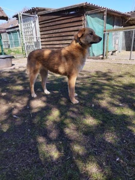 Sanfte Mika ❤ in 2624 Hage