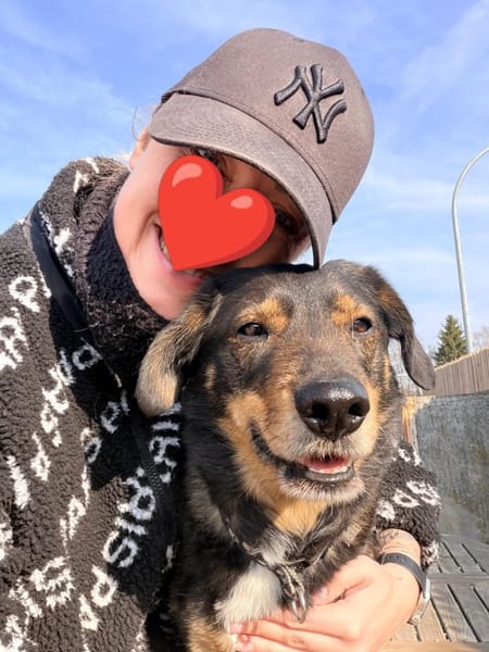 Rocky der Kuschelbär