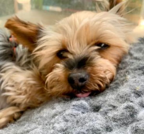 Joana  in 72664 Kohlberg