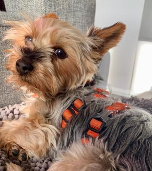 Joana  in 72664 Kohlberg