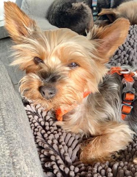 Joana  in 72664 Kohlberg