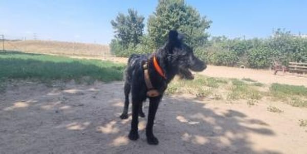 Möchtest du Pineta kennenlernen?