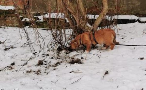 Herr Schröder wartet auf Dich