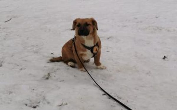 Herr Schröder wartet auf Dich