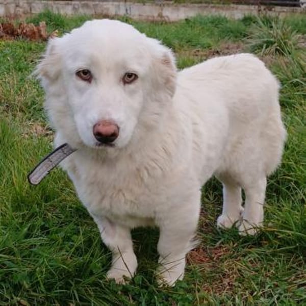 Tamy - eine tapfere Überlebenskünstlerin