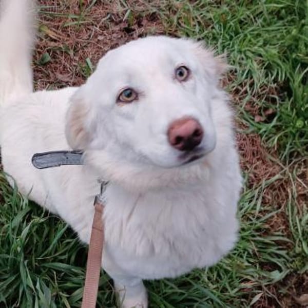 Tamy - eine tapfere Überlebenskünstlerin