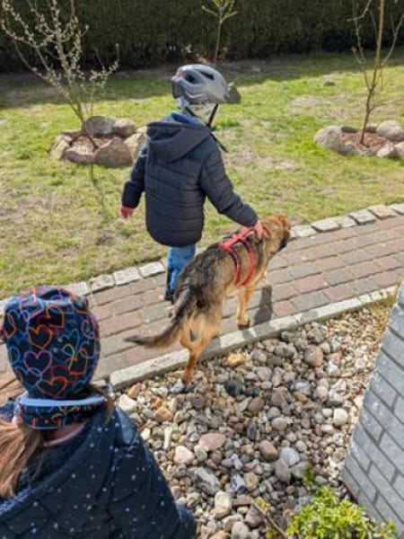 Flame - Zuckerschnute sucht Singleplatz