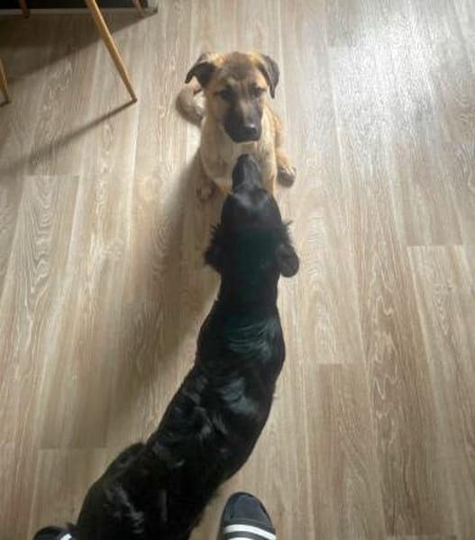 Cintia, menschenbezogen, freundlich ...