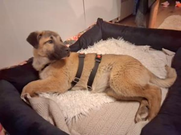 Cintia, menschenbezogen, freundlich ...