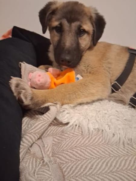 Cintia, menschenbezogen, freundlich ...