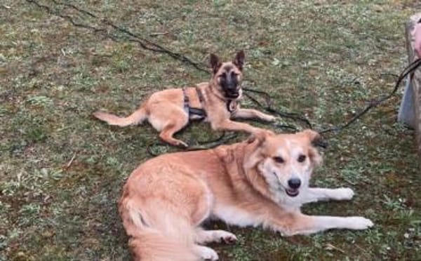 Yumiko - süß und menschenbezogen