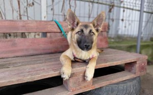 Yumiko - süß und menschenbezogen