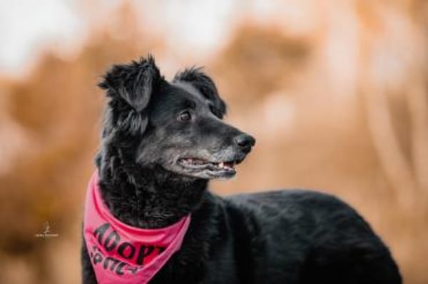 Sanfte Fiby hofft auf Happy End