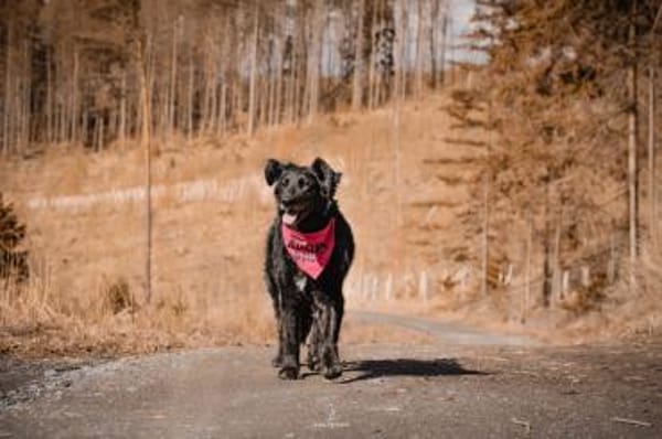 Sanfte Fiby hofft auf Happy End