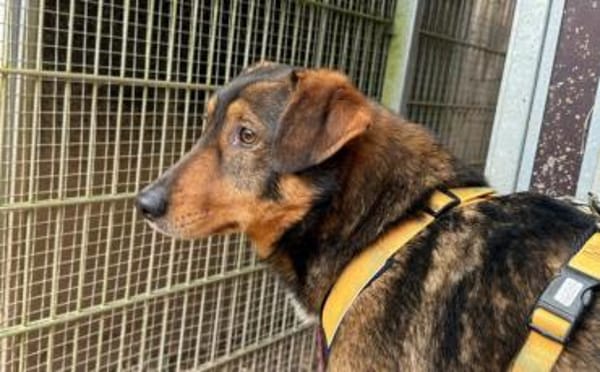 Rocket möchte in seine Zukunft starten!