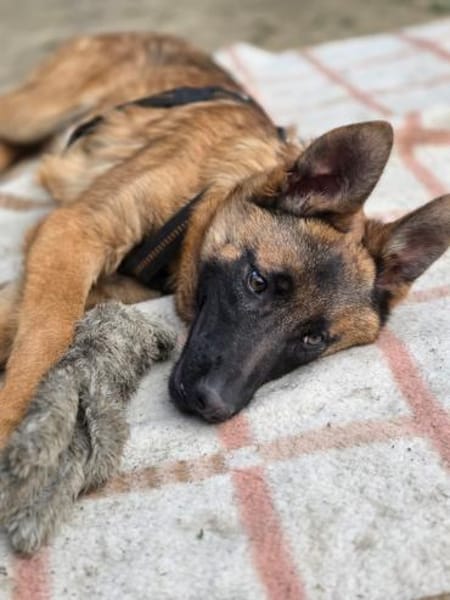 Skalina sucht ihr Glück...