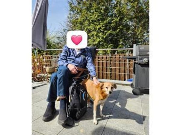 Bubi - wartet in 91126 Schwabach