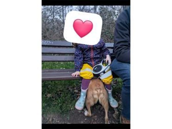 Bubi - wartet in 91126 Schwabach