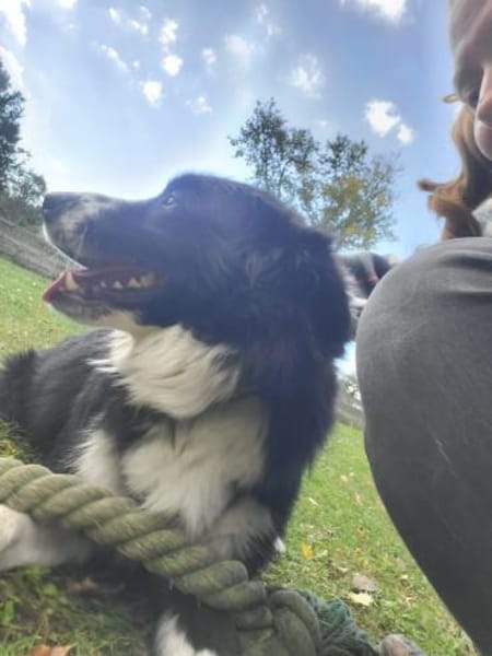 ARKANI - einfach ein cooler Typ