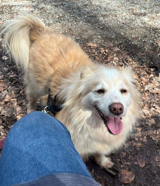 Rosa  wartet in PLZ 75217 auf Besuch