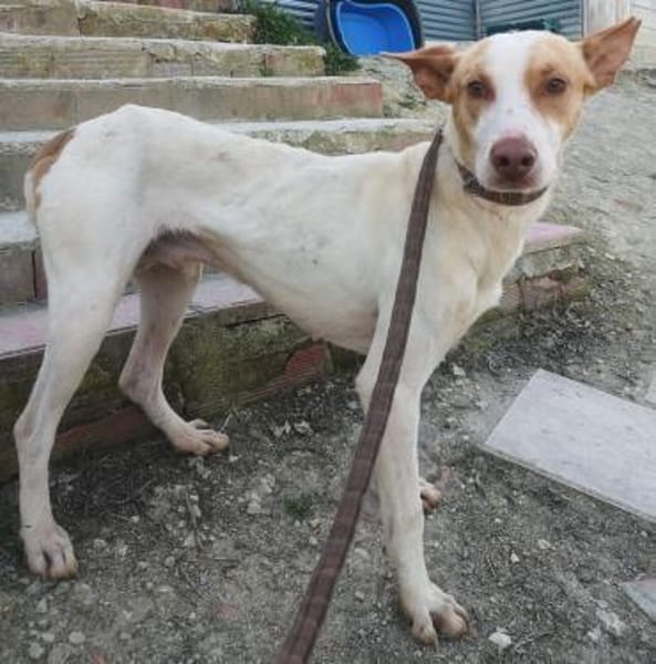 Newton, noch schüchtern