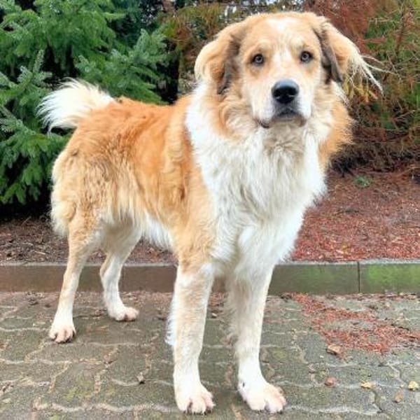 ZEUS - auf PS in NRW