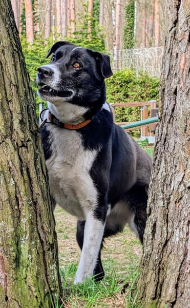 Trude, ein ganz großer Schatz