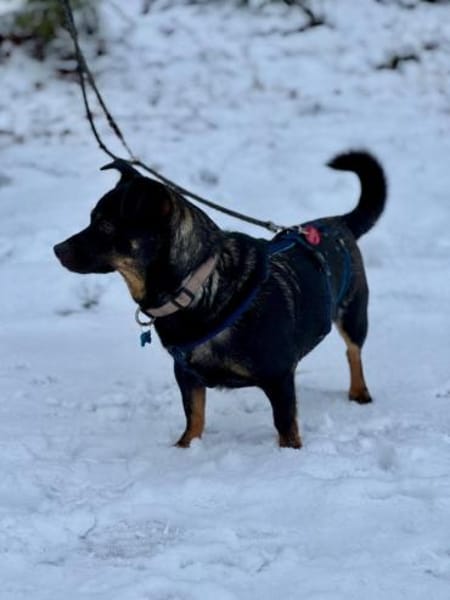 Olli - menschenbezogen und aktiv