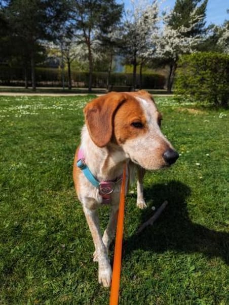 Gustav💙 sucht seine Menschen