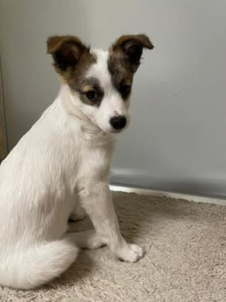 Melissa  sucht ihre Familie