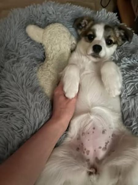 Melissa  sucht ihre Familie