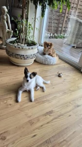 Melissa  sucht ihre Familie