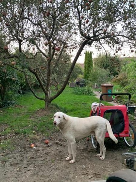 Orkun sucht geduldige Menschen