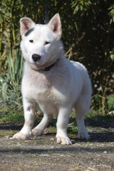 Danilo - vorsichtig & verschmust