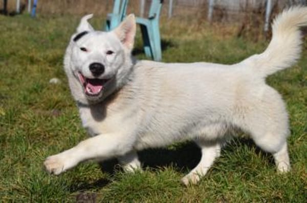 Danilo - vorsichtig & verschmust