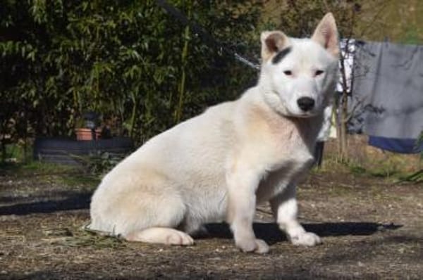 Danilo - vorsichtig & verschmust