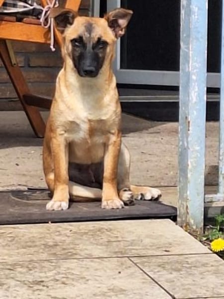 Aylasucht ihre Menschen