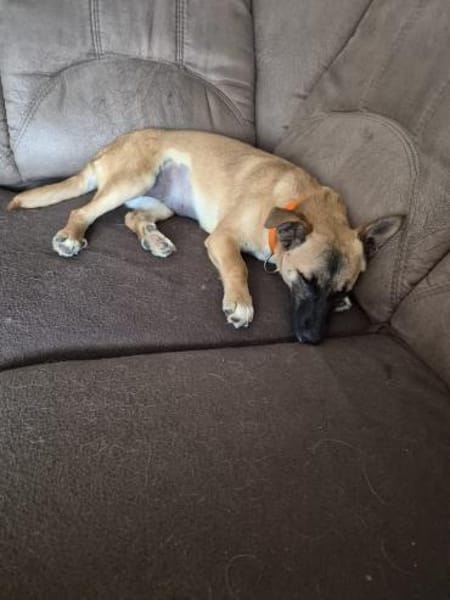 Aylasucht ihre Menschen