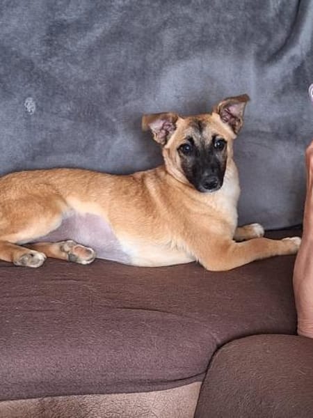 Aylasucht ihre Menschen