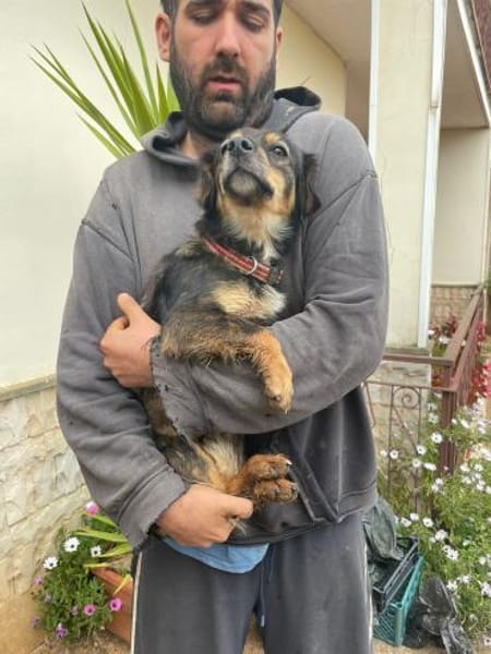 Pimpa 💜💜💜 absolut sozialverträglich