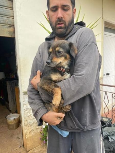 Pimpa 💜💜💜 absolut sozialverträglich