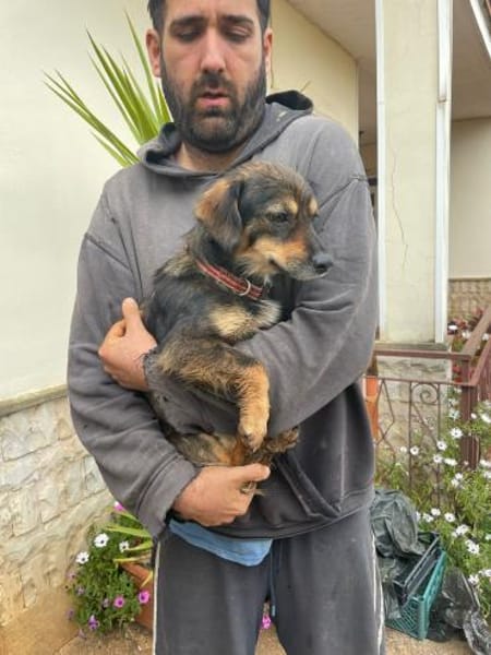 Pimpa 💜💜💜 absolut sozialverträglich