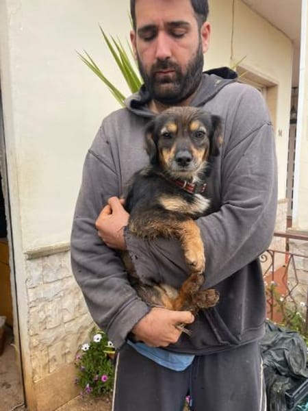 Pimpa 💜💜💜 absolut sozialverträglich