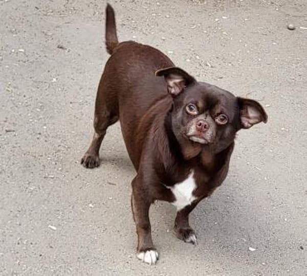 Martin° in 83623 Ascholding