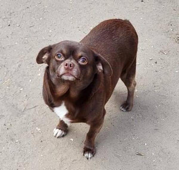 Martin° in 83623 Ascholding