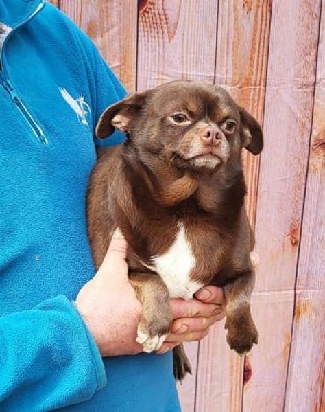 Martin° in 83623 Ascholding