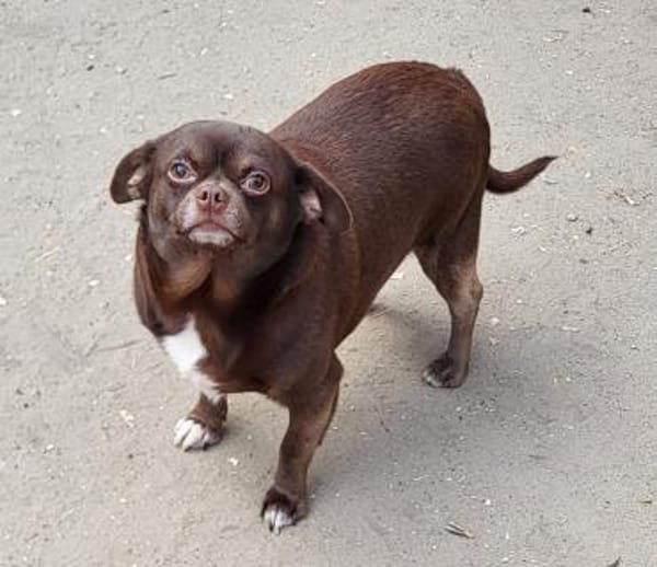 Martin° in 83623 Ascholding